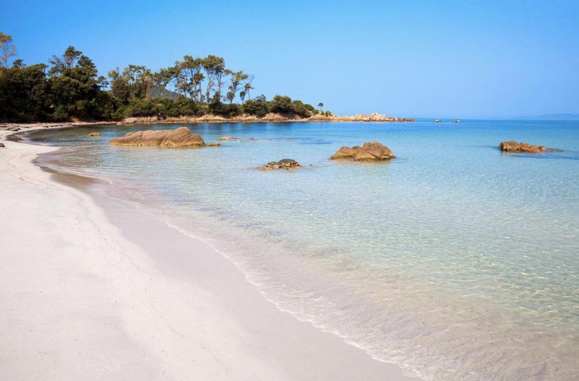 Les Calanques Route Des Sanguinaires- Piscine - Parking & Wifi Gratuit - Apartment Ajaccio (Corsica)